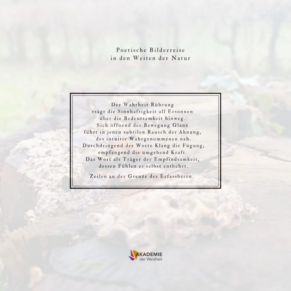 DER REIFE Fülle - Cover (22 x 22 cm) hinten