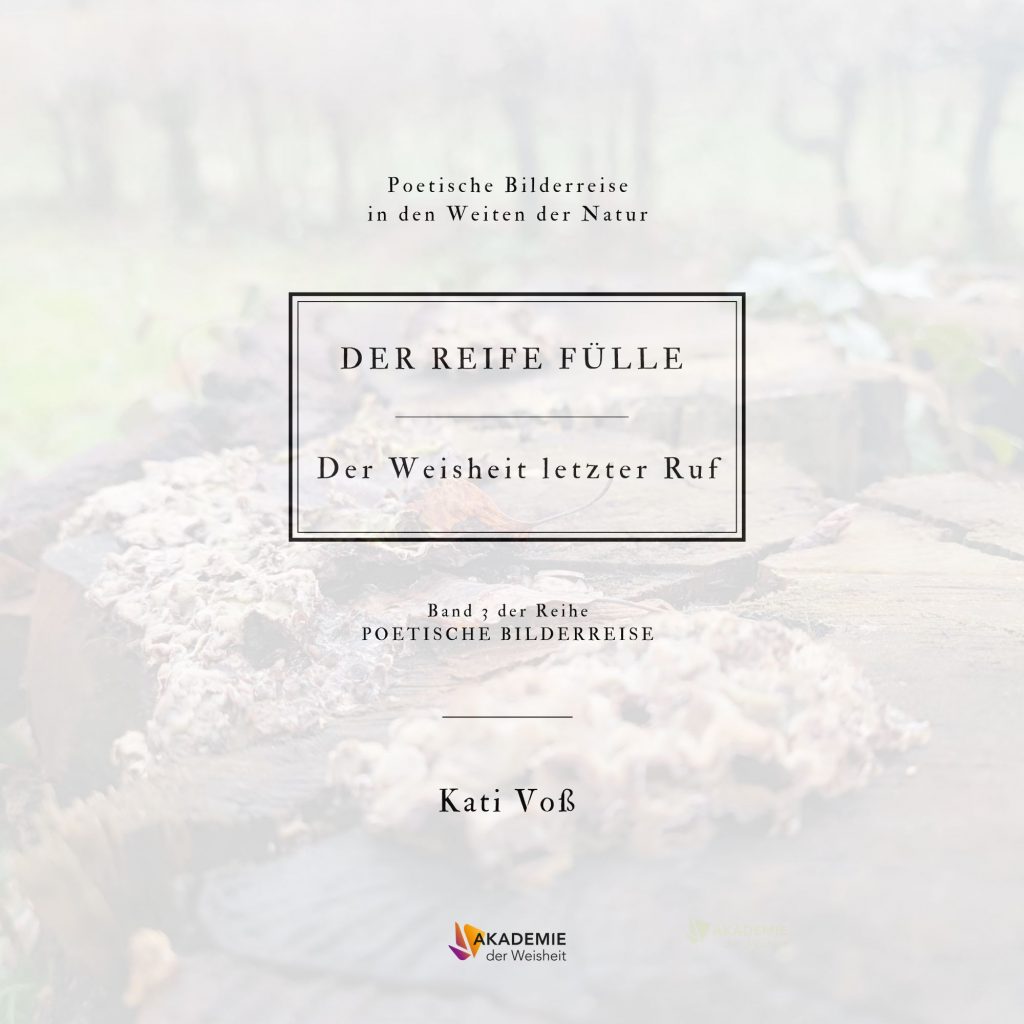 DER REIFE Fülle - Cover (22 x 22 cm) vorn